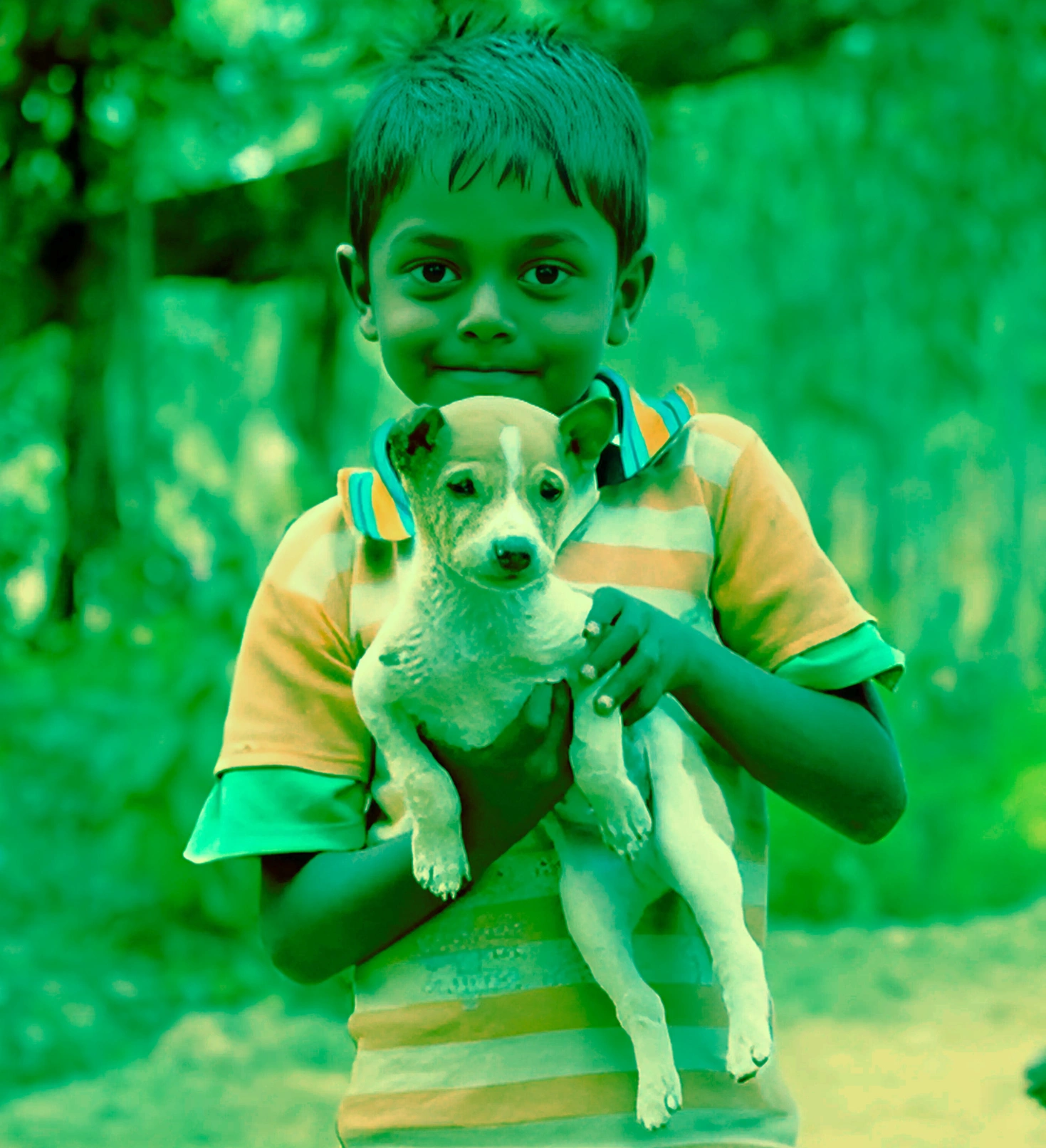 Nabatara Foundation